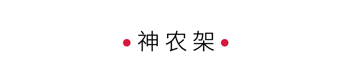 探秘生命秘境神農架 | 手機里的中國世界遺產