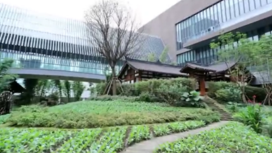 2021成都創交會 科技感與生態感融匯的場館