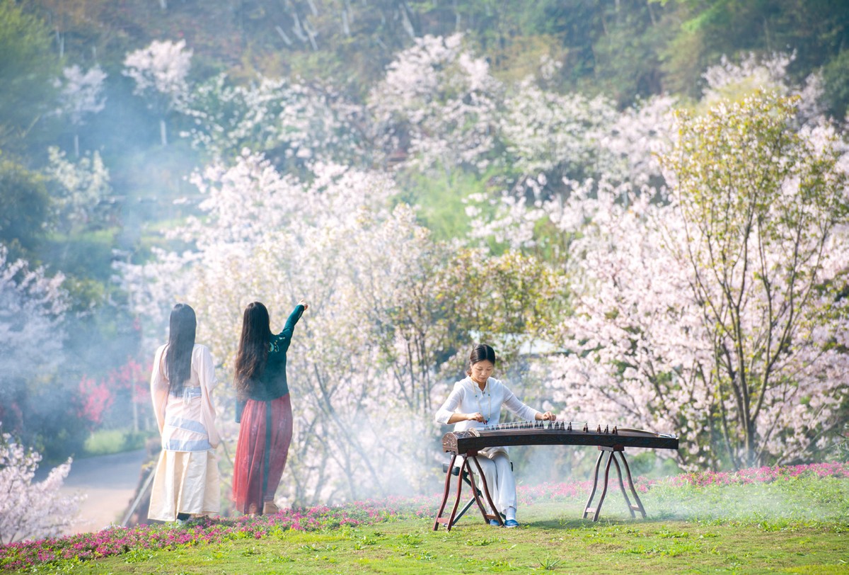 一朵“梨花”，挑起全域旅游擔(dān)子