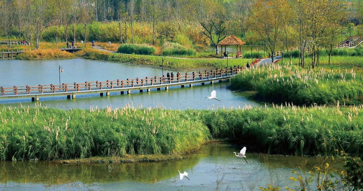 公園城市的“新津表達”
