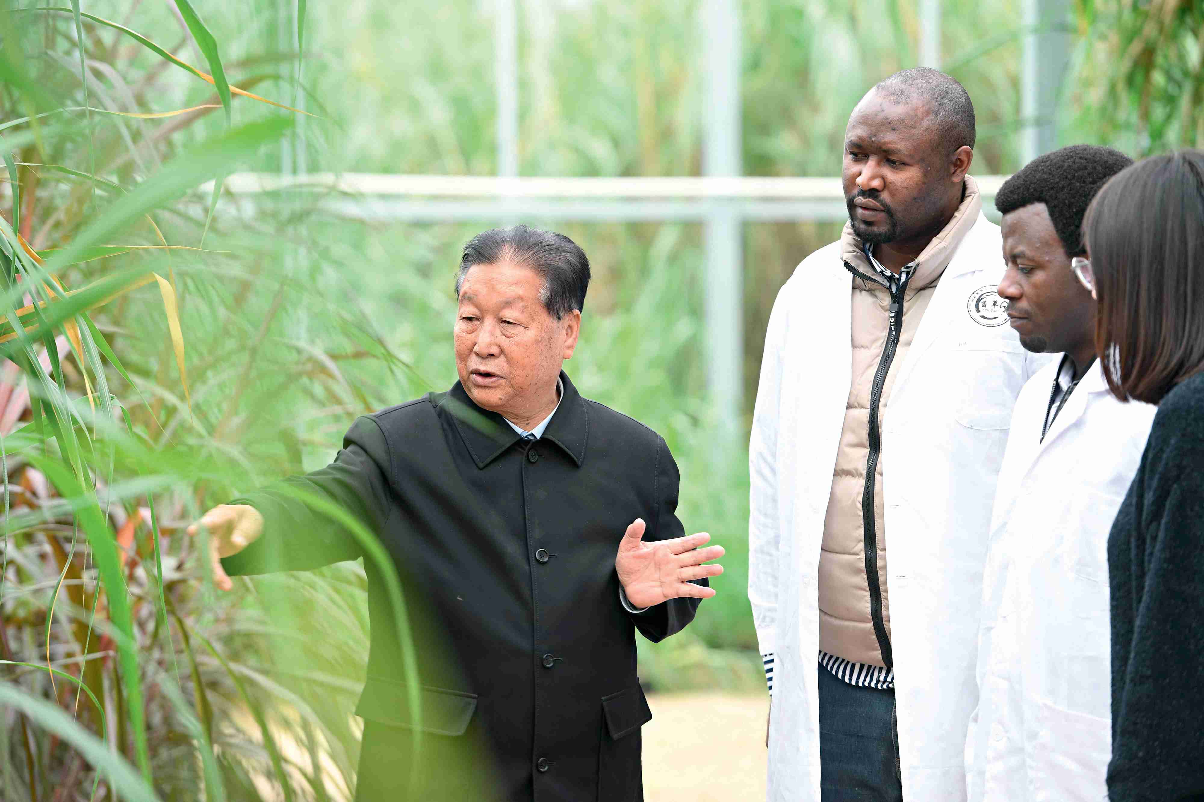 十年花開 “我們看到了朋友應(yīng)有的樣子”