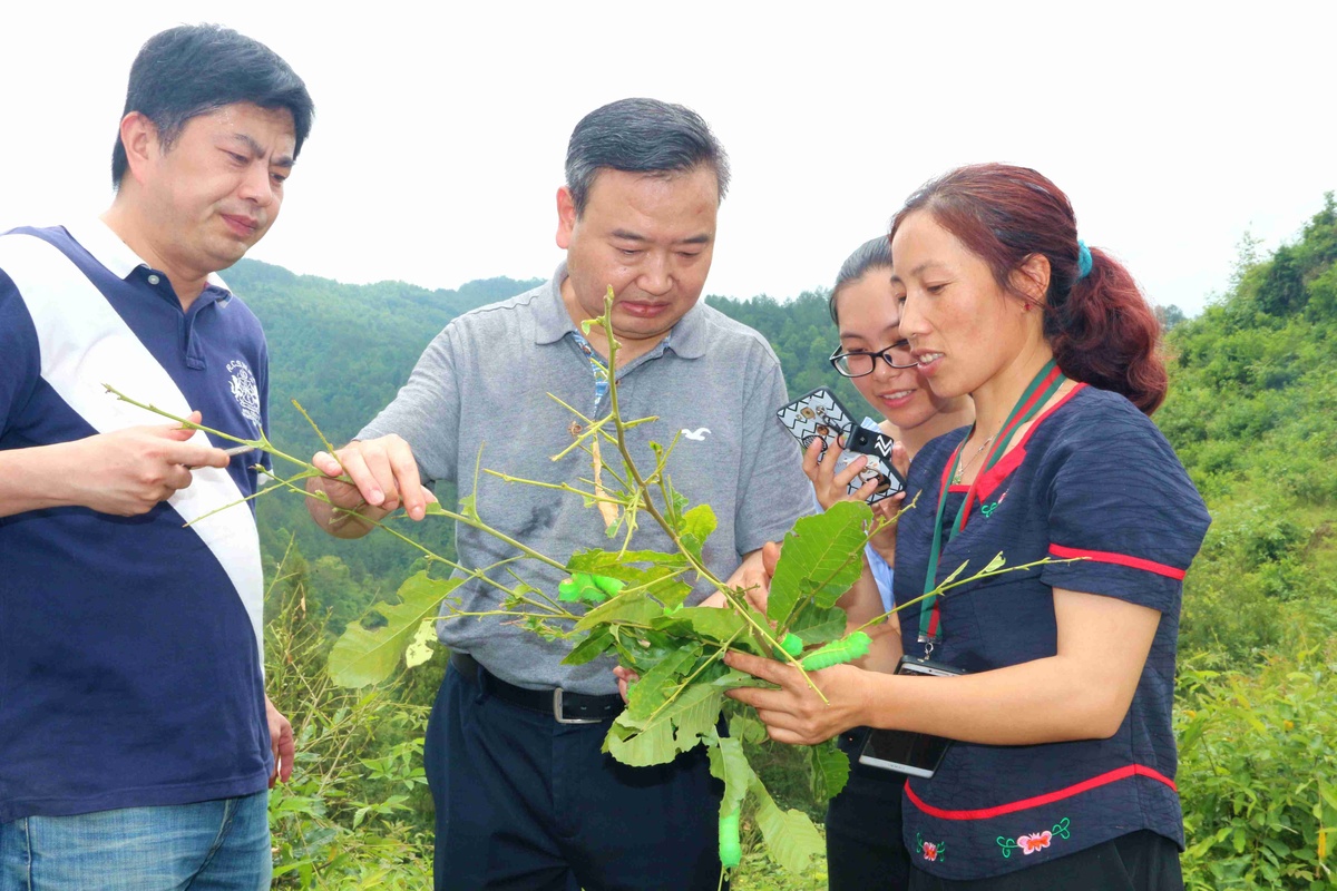 以科技之力，續寫絲綢故事