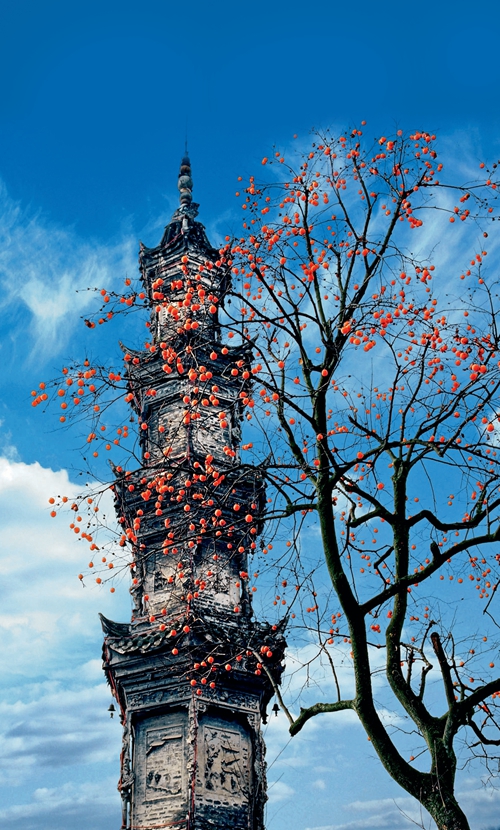 “古鎮金三角”，破題“千鎮一面”