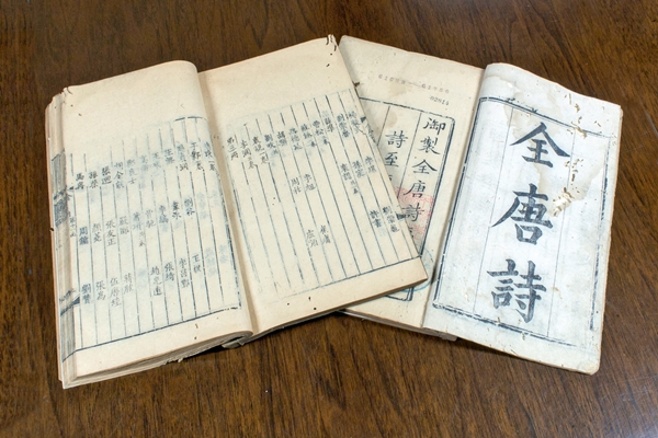 “古鎮金三角”，破題“千鎮一面”