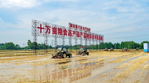 天府糧倉(cāng)： “智慧田”的智慧密碼