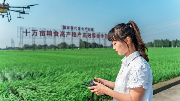 天府糧倉(cāng)： “智慧田”的智慧密碼