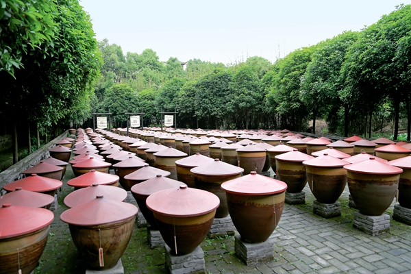 芶思，建一座“可以吃的博物館”