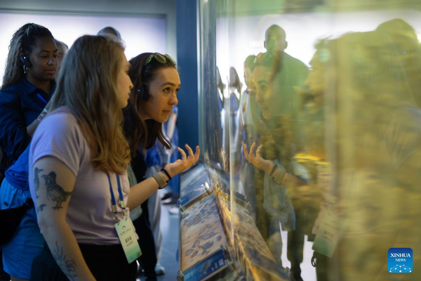 Young Americans soak up history, culture on central China exchange tour
