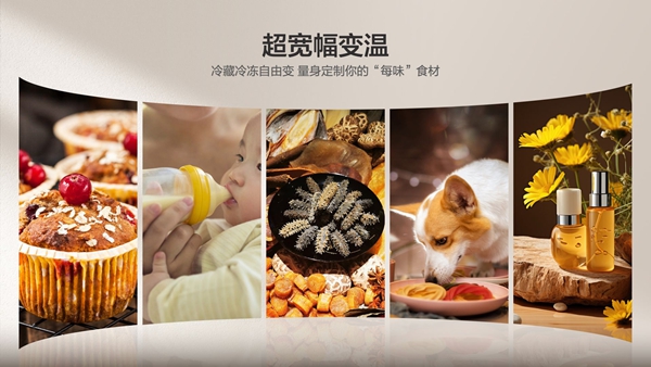 TCL推出雙系統平嵌冰箱，打造“不串味”新體驗